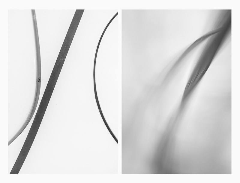 organic_a_www