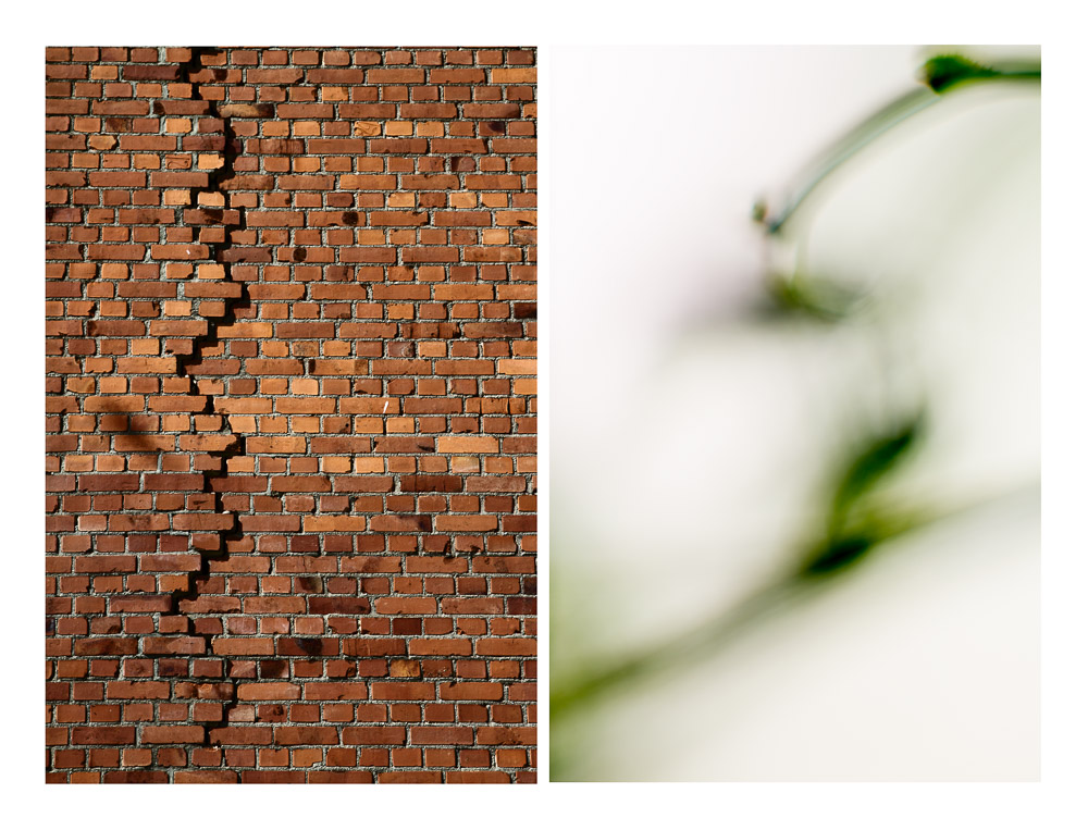 urban_nature4_www-2